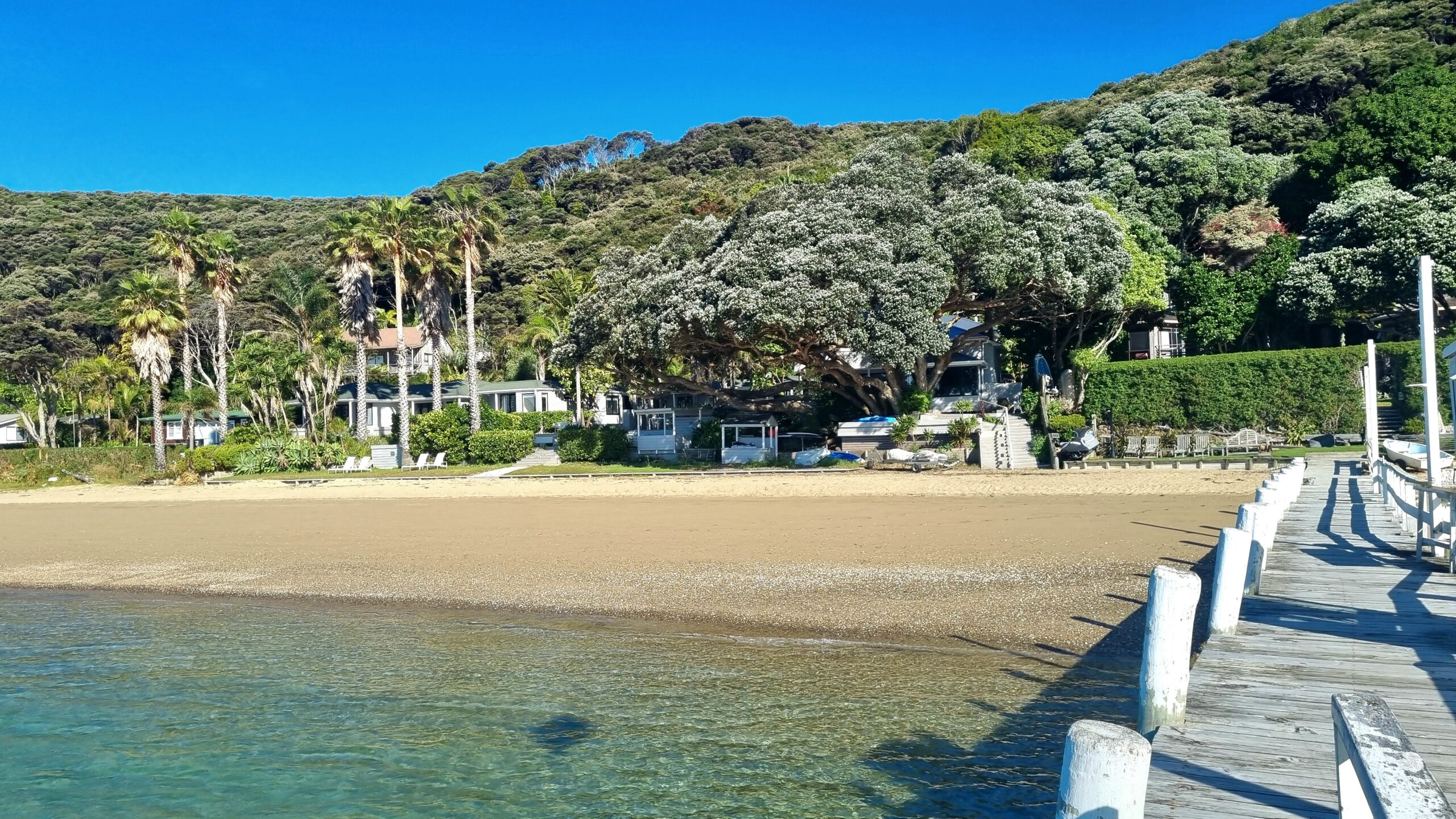 Private luxury beachfront suites and secluded bush cottage are the place to stay for romantic escapes, family vacation, solo retreats, relaxation or adventure.